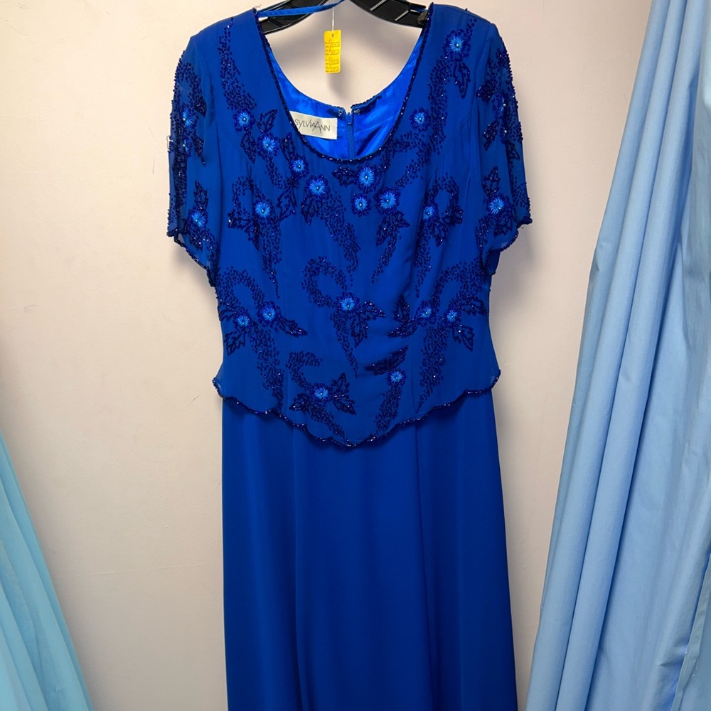Boutique is closing. Was asked to help sell some dresses.